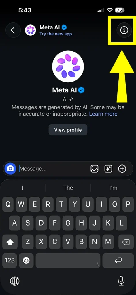 Tap the ⓘ information icon or the Meta AI name at the top.